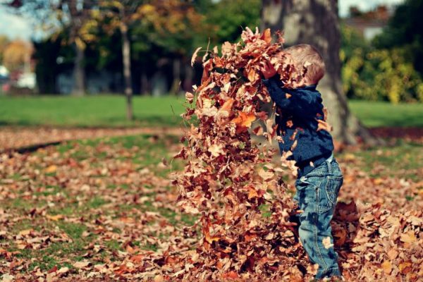 Kind speelt buiten met bladeren